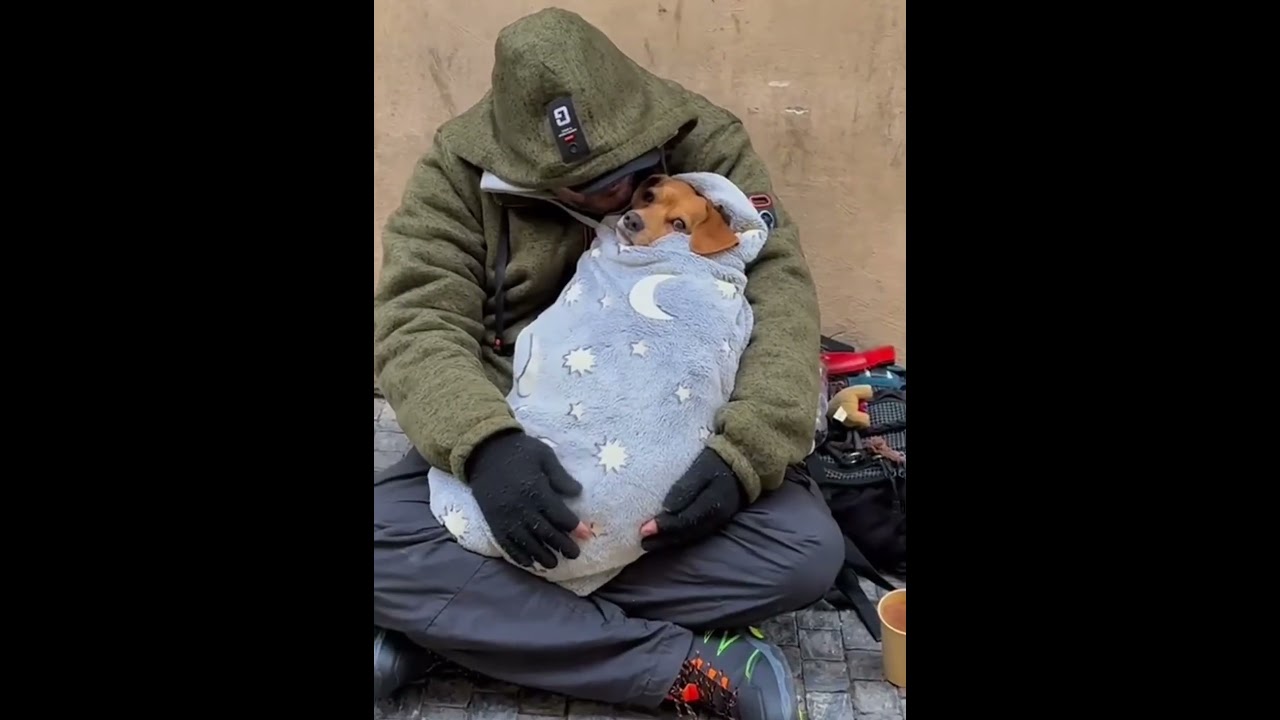 Homeless people and their dogs 🐕 #dog #love #cute #cute #doglove #usaus #fyp #foryou #pet #typ