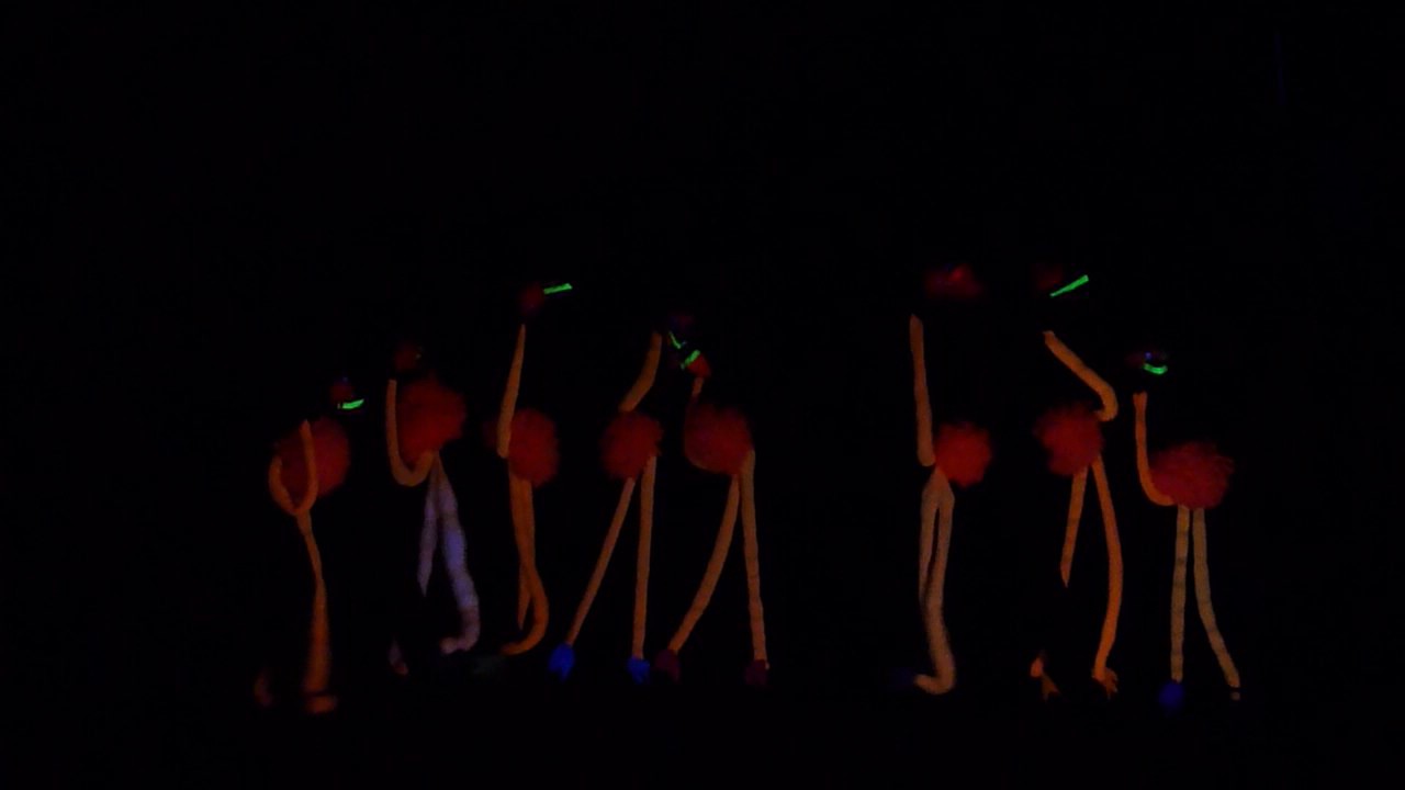 Mexikanische Hühner aus der Lausitz