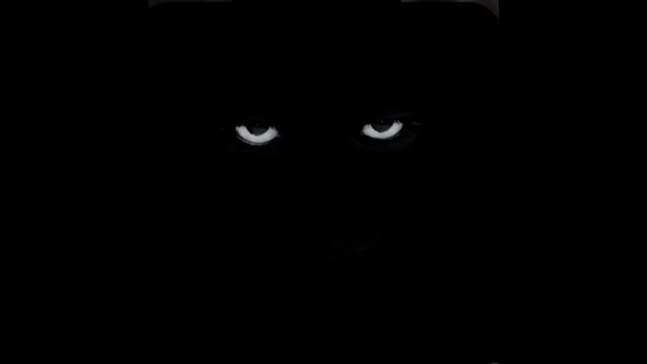 (FREE FOR PROFIT) DRILL TYPE BEAT *HARD 808'S* - 