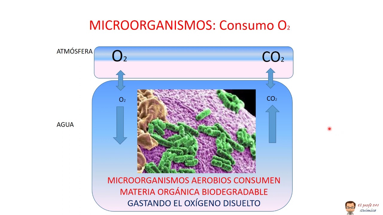 QUÍMICA AMBIENTAL Y SANITARIA. VIDEO 5. OXÍGENO DISUELTO (OD), DBO, DQO y ORP
