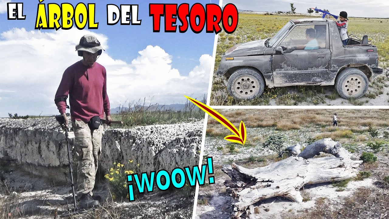 ¡El ÁRBOL 🌳 caído oculta un TESORO perdido! ¡ENCONTRAMOS las evidencias ANTIGUAS!