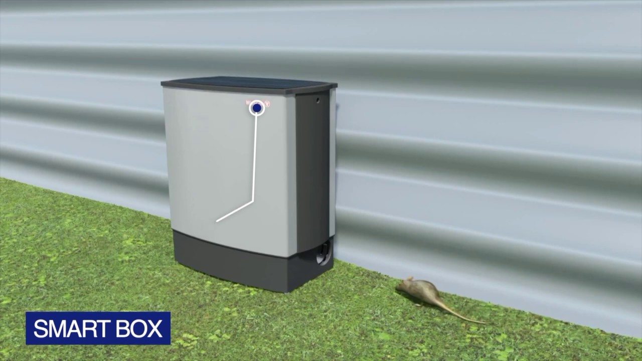 Anticimex SMART BOX | Captura M&uacute;ltipla de Roedores Sem Biocidas