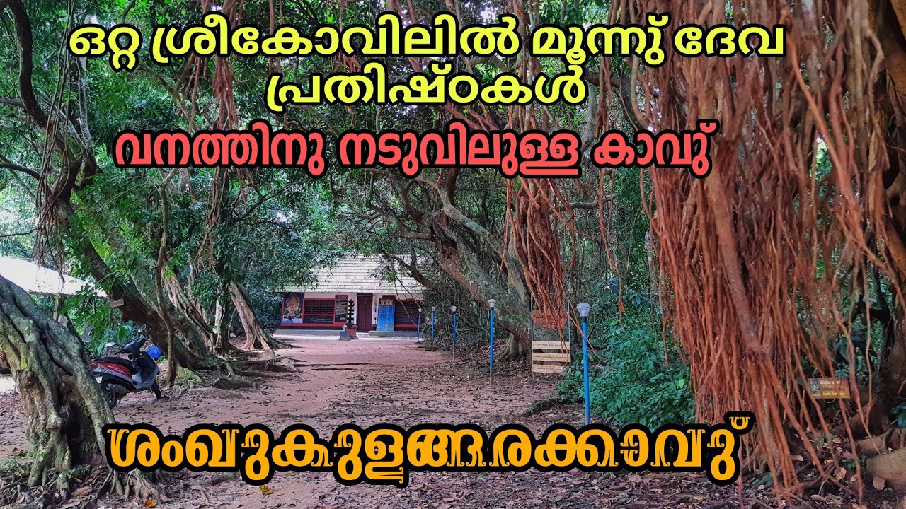 EP#156 ₹Sanghukulangara Bhagavathy Temple SN Puram ശംഖുകുളങ്ങരക്കാവു് SNപുരം കൊടുങ്ങല്ലൂർ