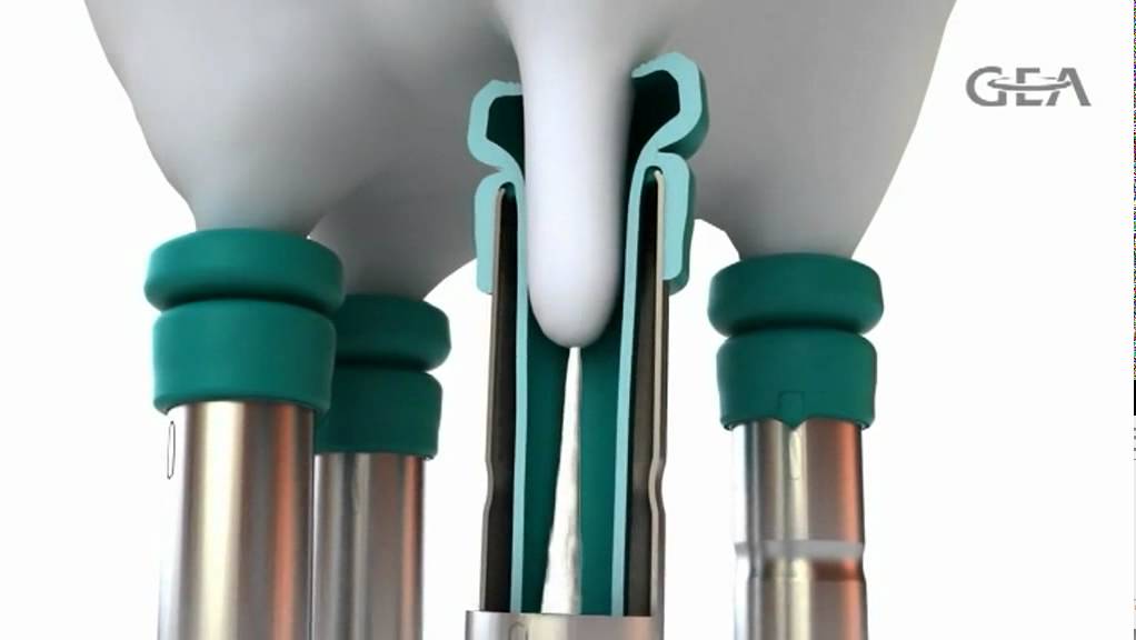 Faisceau trayeur IQ Descriptif