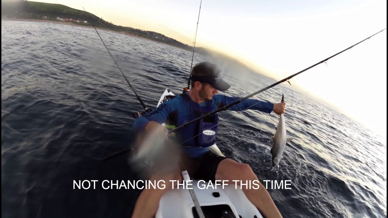 How to catch Queen Mackerel aka Natal Snoek - Halco Twisty - Weapon of choice