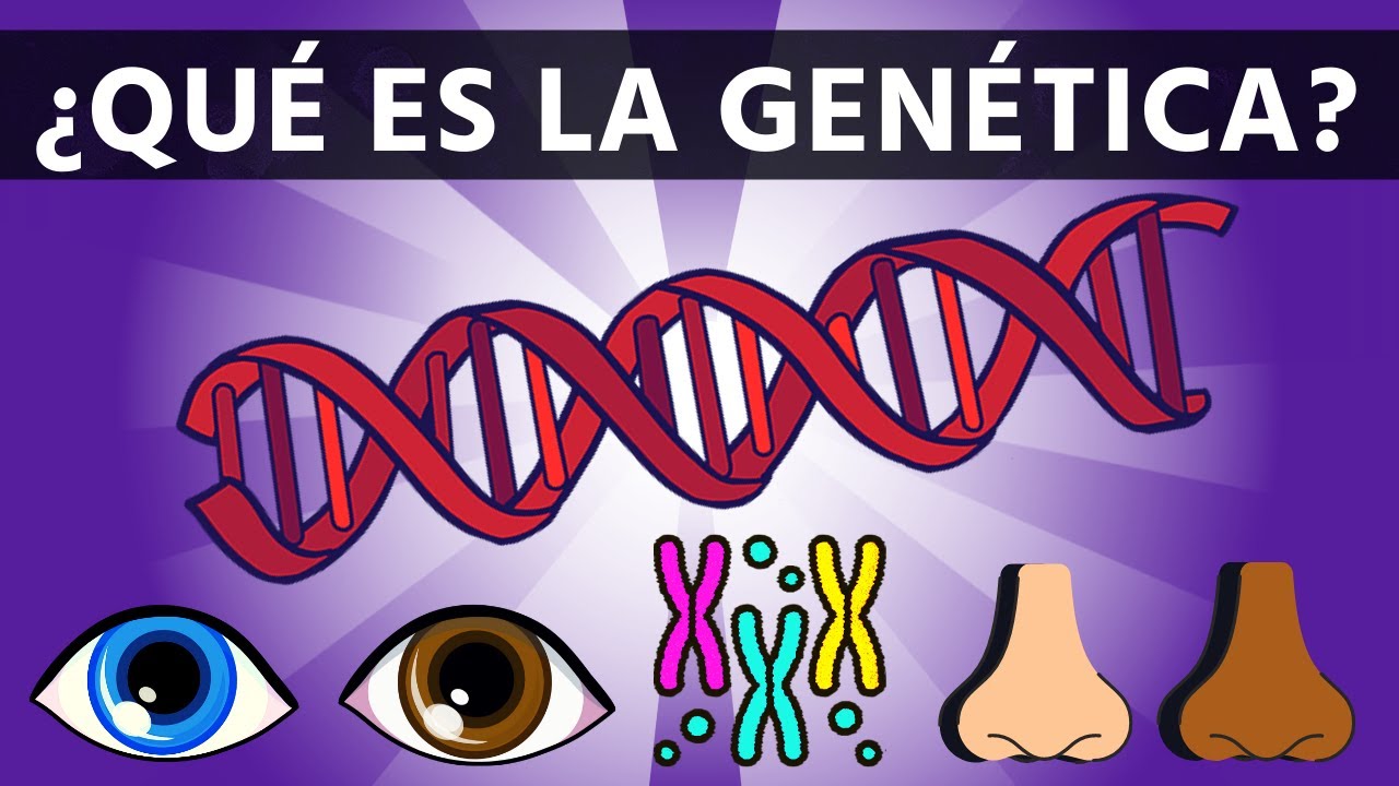 ¿Qué es la genética?🧬|ADN|GEN|Explicación 2025|