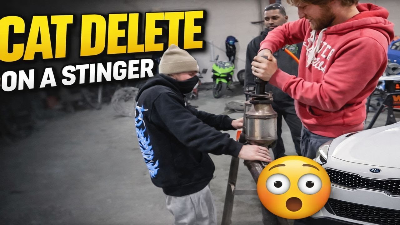 STEALING THE CATS OFF MY FRIENDS KIA STINGER GT!!!