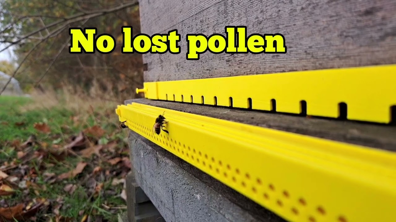 Making beekeeping easier! 