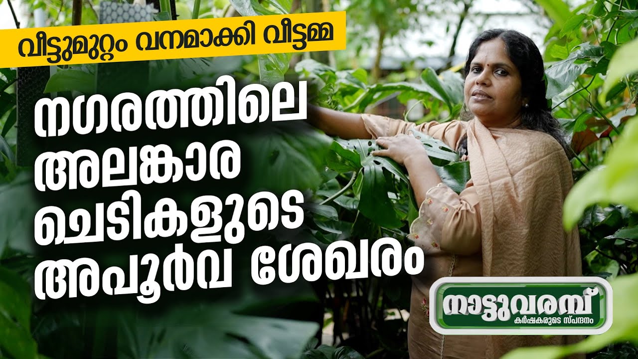 അലങ്കാര ചെടികളുടെ അപൂർവ ശേഖരം | TROPICAL PLANTS |നാട്ടുവരമ്പ് | NATTUVARAMBU | JANAM TV | 13-08-2024