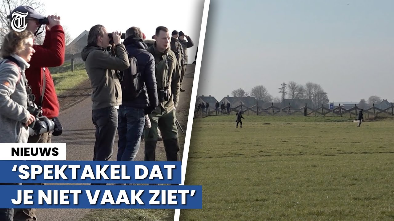 Vogelspotter furieus: 'Ga eens terug, opzouten daar!'