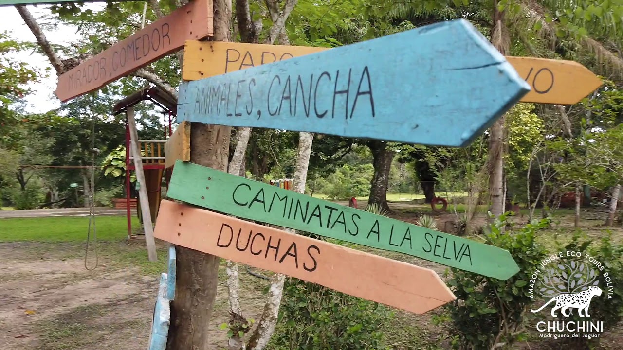 Visit our CHUCHINI Amazon Eco Lodge, near Trinidad in Bolivia