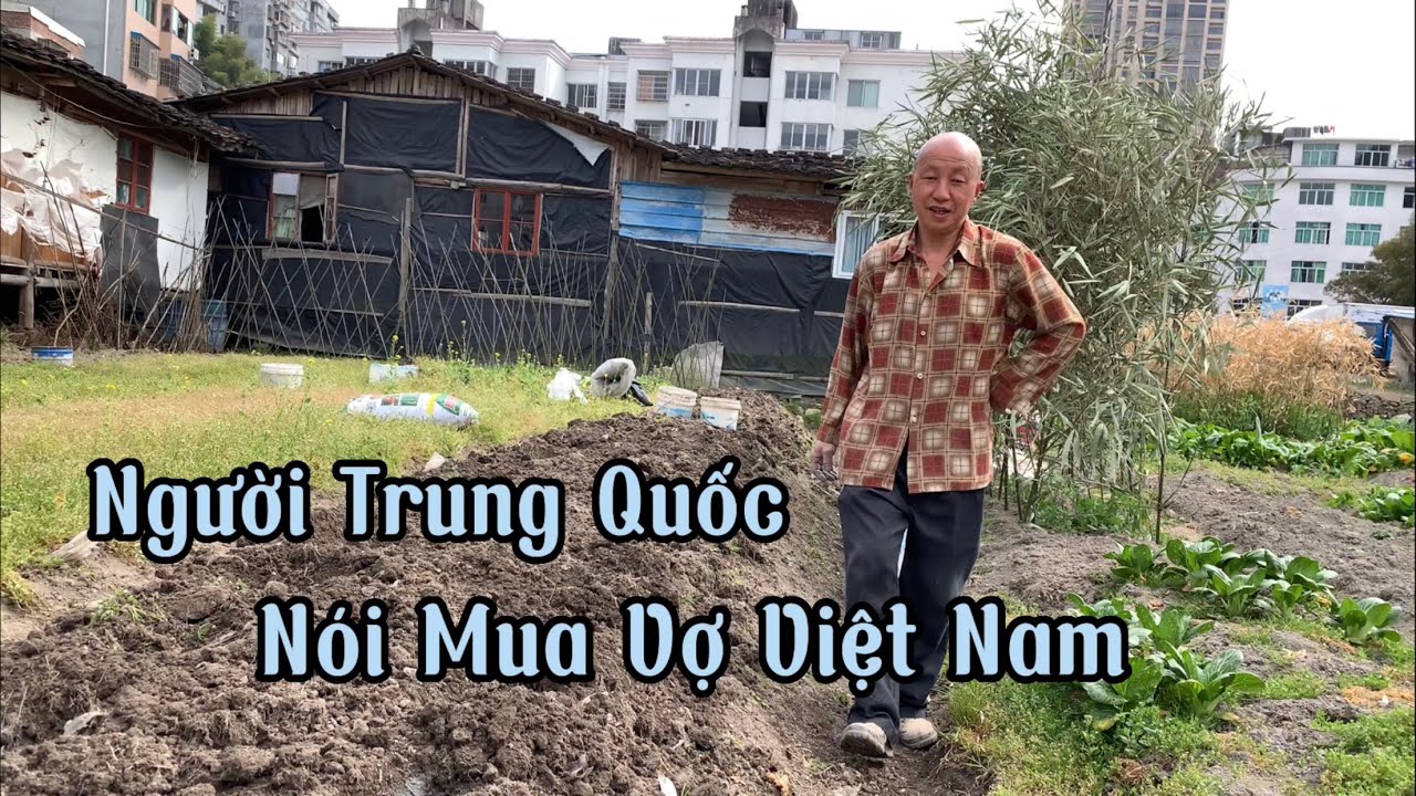 Người Trung Quốc,Họ Không Nghĩ Là,Cưới Vợ Việt Nam,Mà Là Mua | Hồng Sa Channel #19