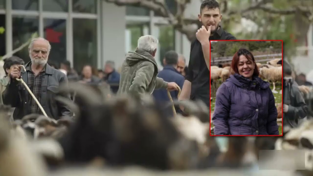 Πρόβλημα για κτηνοτρόφους στη Μαγνησία με τις αιτήσεις συνταξιοδότησης