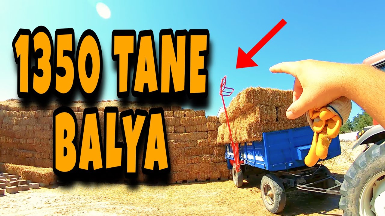 BALYAMATİK İLE 1350 TANE BALYA YÜKLEDİK - TÜM İŞİMİZİ KOLAYLAŞTIRDI