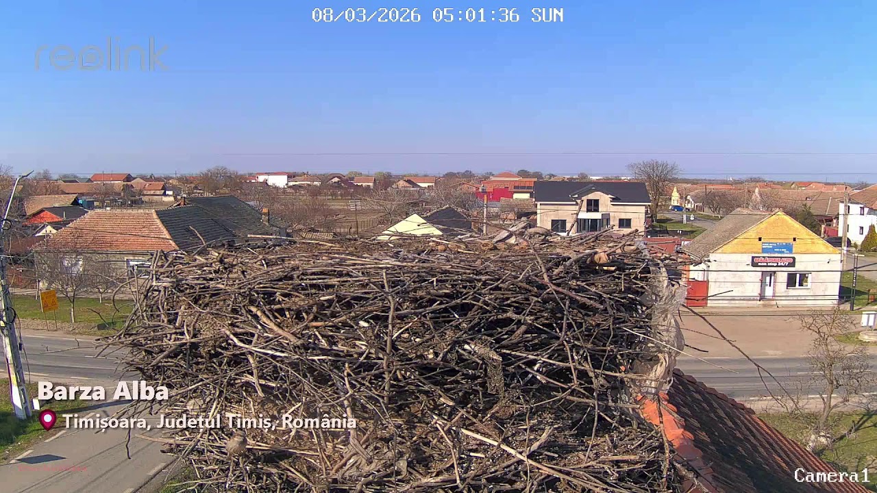 LIVE 🔴 WebcamRomania.ro | 2026-03-08 Partea 10