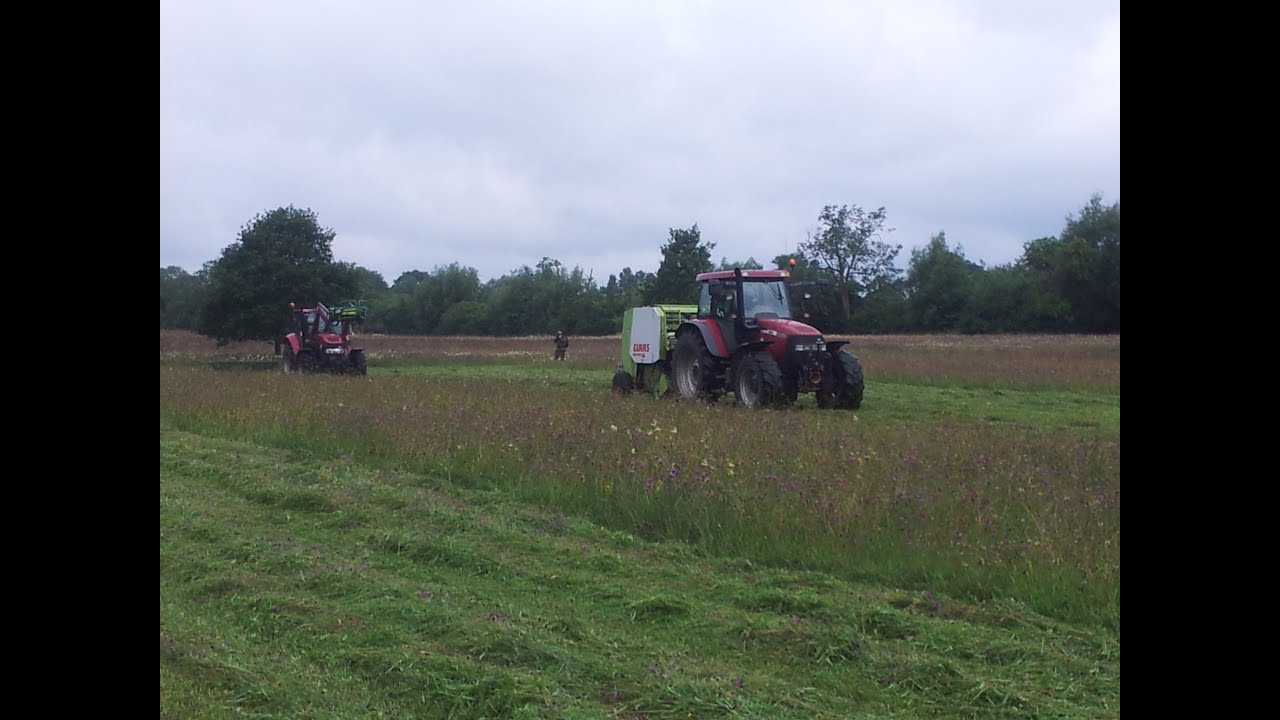 How to create a wildflower meadow in 5 mins