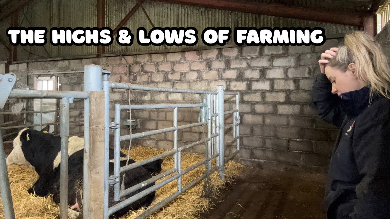 РЕШЕНИЕ, КОТОРОЕ МЫ НЕ ХОТЕЛИ ПРИНИМАТЬ…