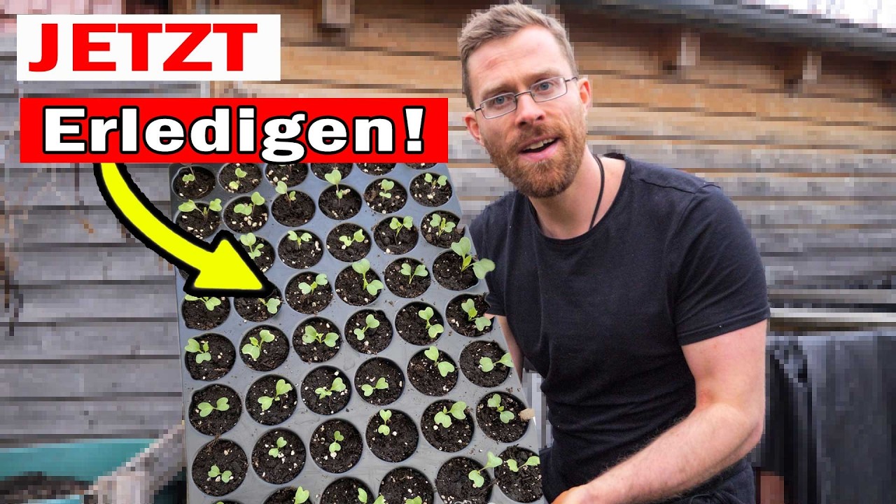 Säe nicht zu spät! Diese 13 Gemüse im März unbedingt anbauen | 2026