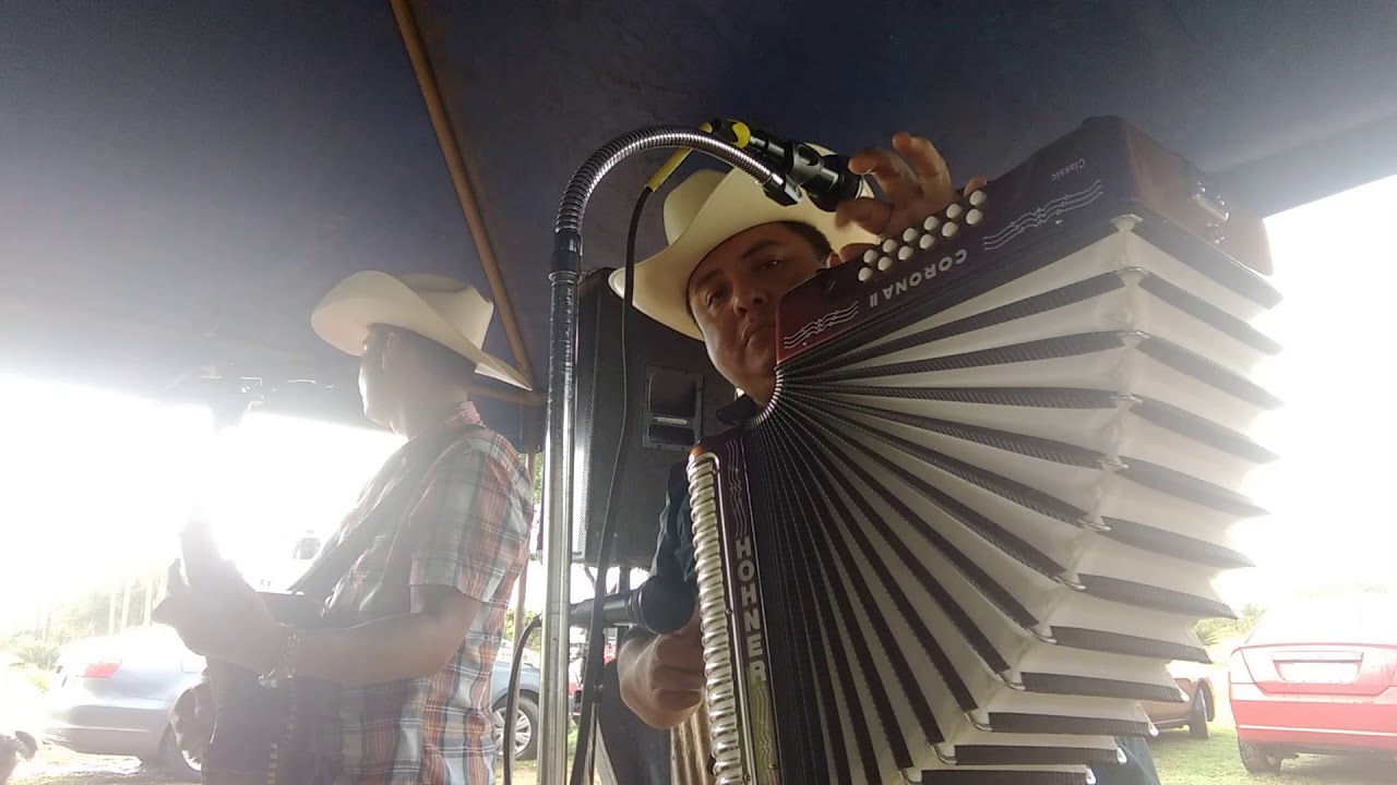 Polka 