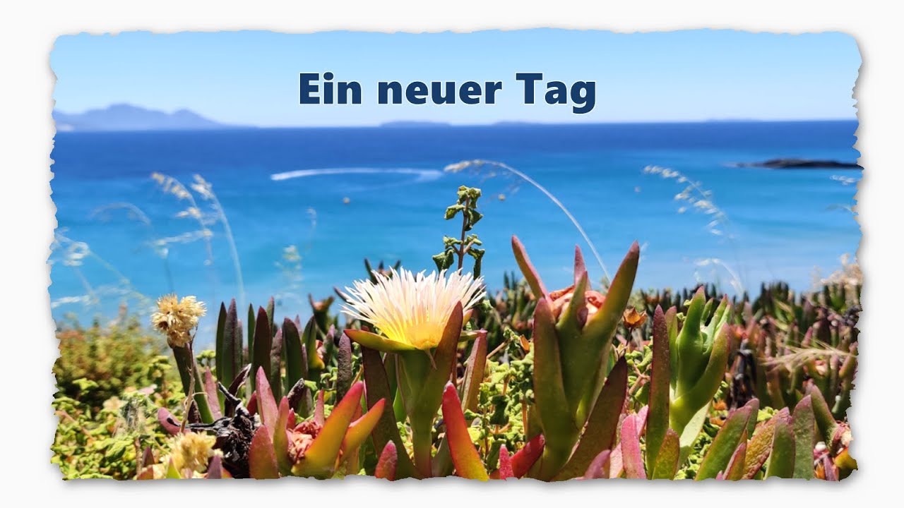 Heut morgen bist du wieder aufgewacht🌞🙏🏼/Elena Krieger/