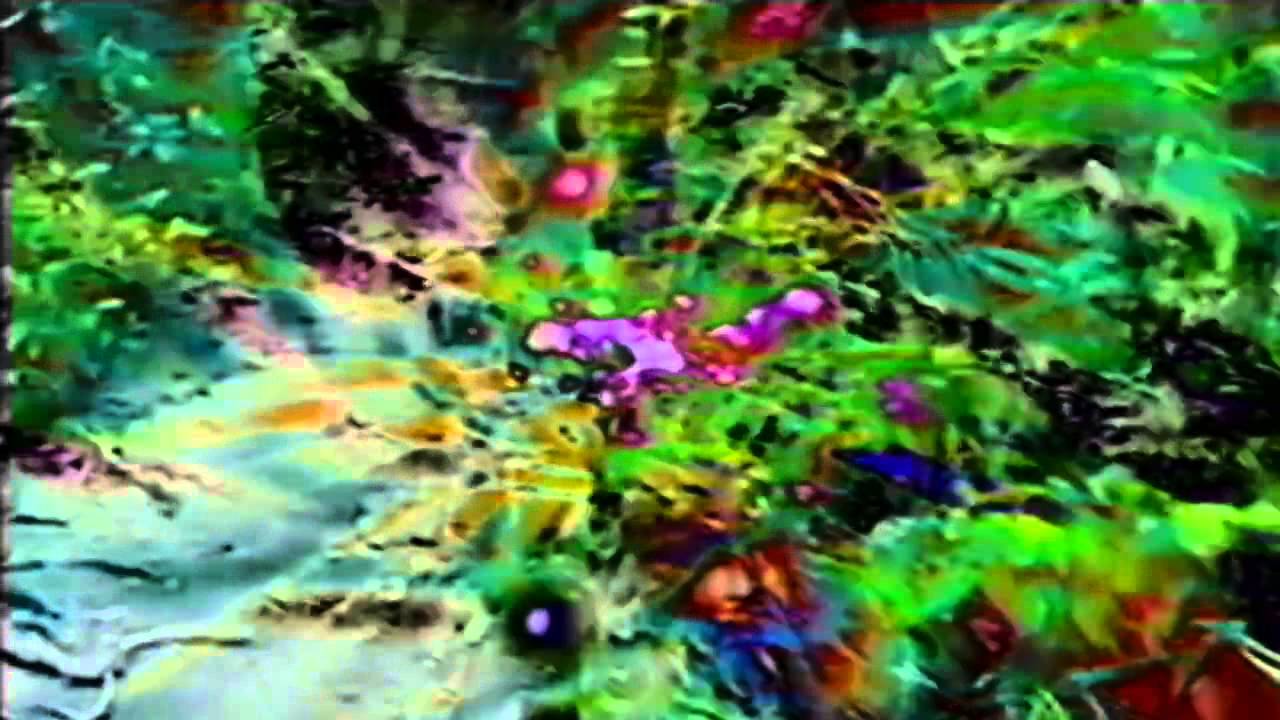Raw M.T. - Falling Into Nowhere