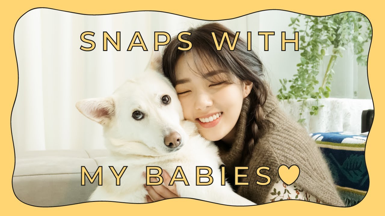 (EN) 마타 판다랑 스냅촬영 했어요🐶