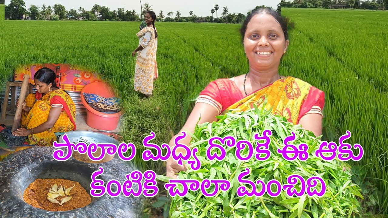 పల్లెల్లో ఎంతో ఇష్టంగా చేసే ఆకుకూర వంట ఈరోజు కృప చేసిందండోయ్ | Ponagantaku fry in Telugu.