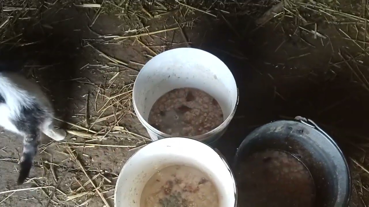 Що сталось з малишкою