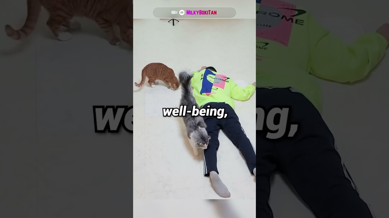 Testing Loyalty of the: Cat VS Dog 