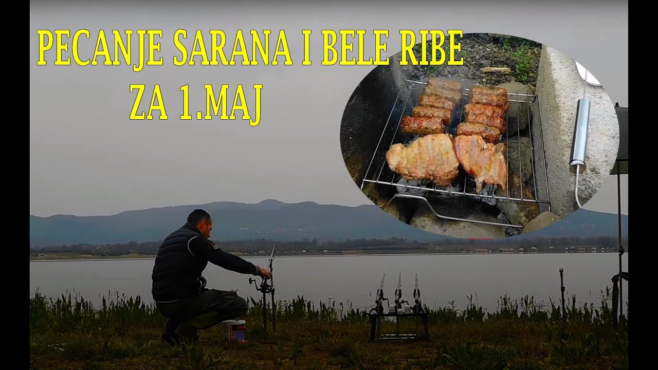 Pecanje sarana i bele ribe 1.Maj