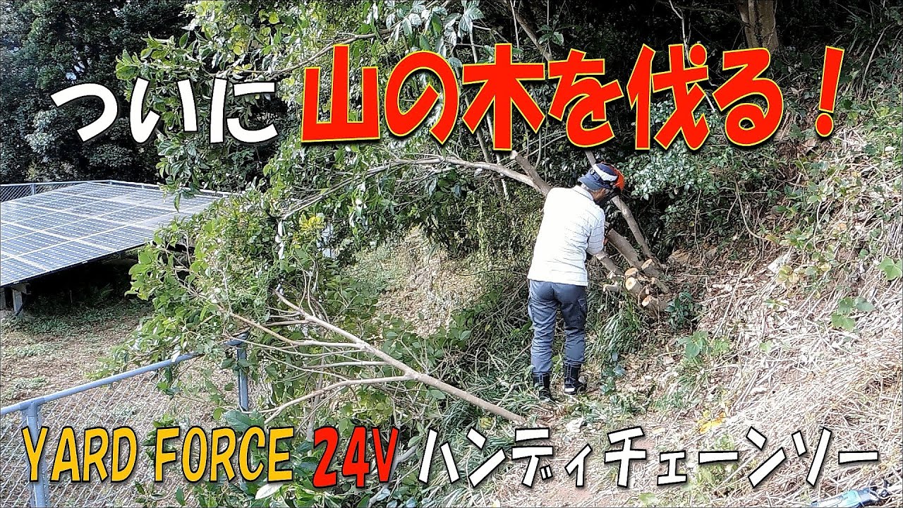 【原野化への抗い】ついに山の木を伐る！