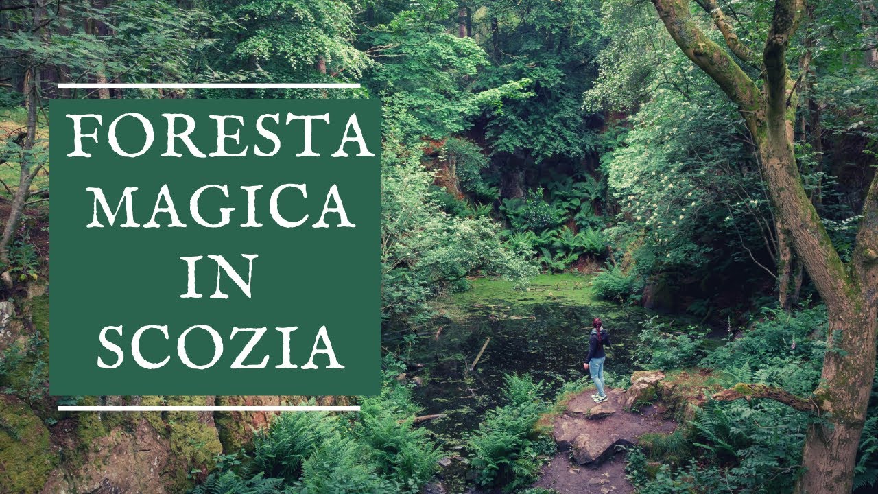 3 MINUTI DI RELAX IN SCOZIA - ABERDEEN