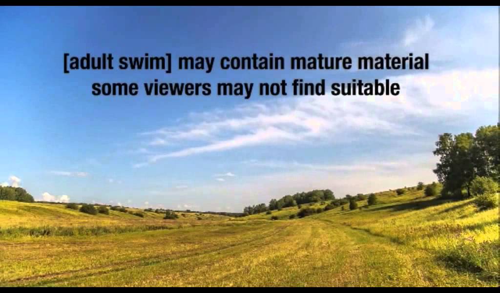 Cartoon Network sign-off (November 29, 2015)