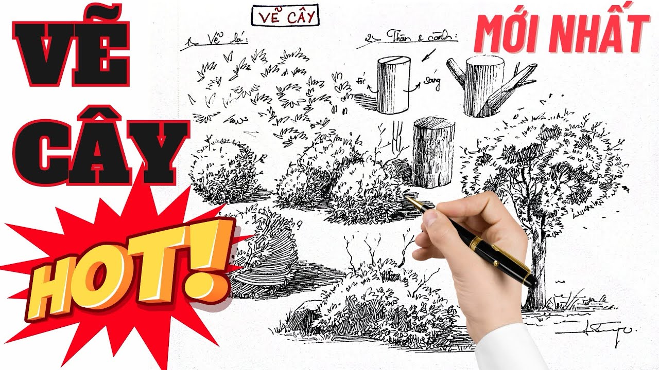 MỚI NHẤT | Hướng dẫn VẼ KÝ HOẠ cây Full HD cho người mới học vẽ | Lê Uy Mĩ Thuật