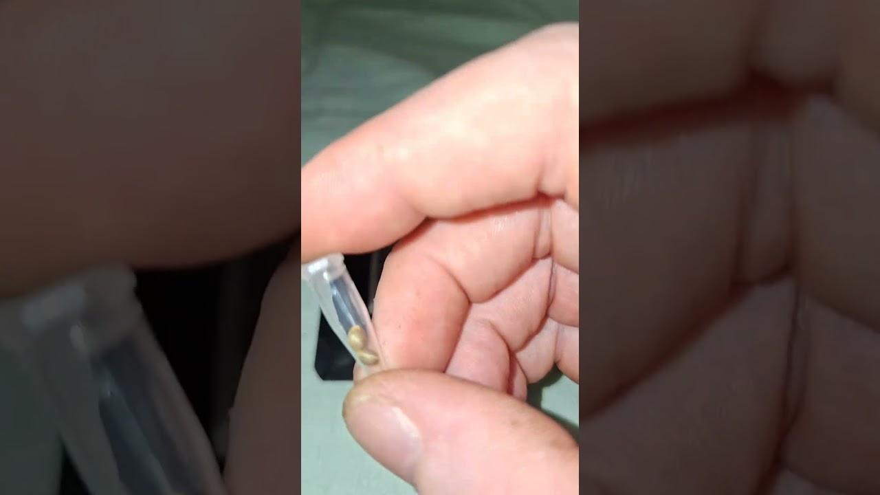 FastBuds Refund Poilcy is Amazing Got Double My Order by TSG #cannabiseducation