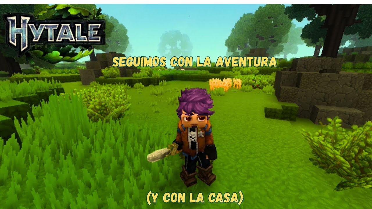 Haciendo la casa de chill