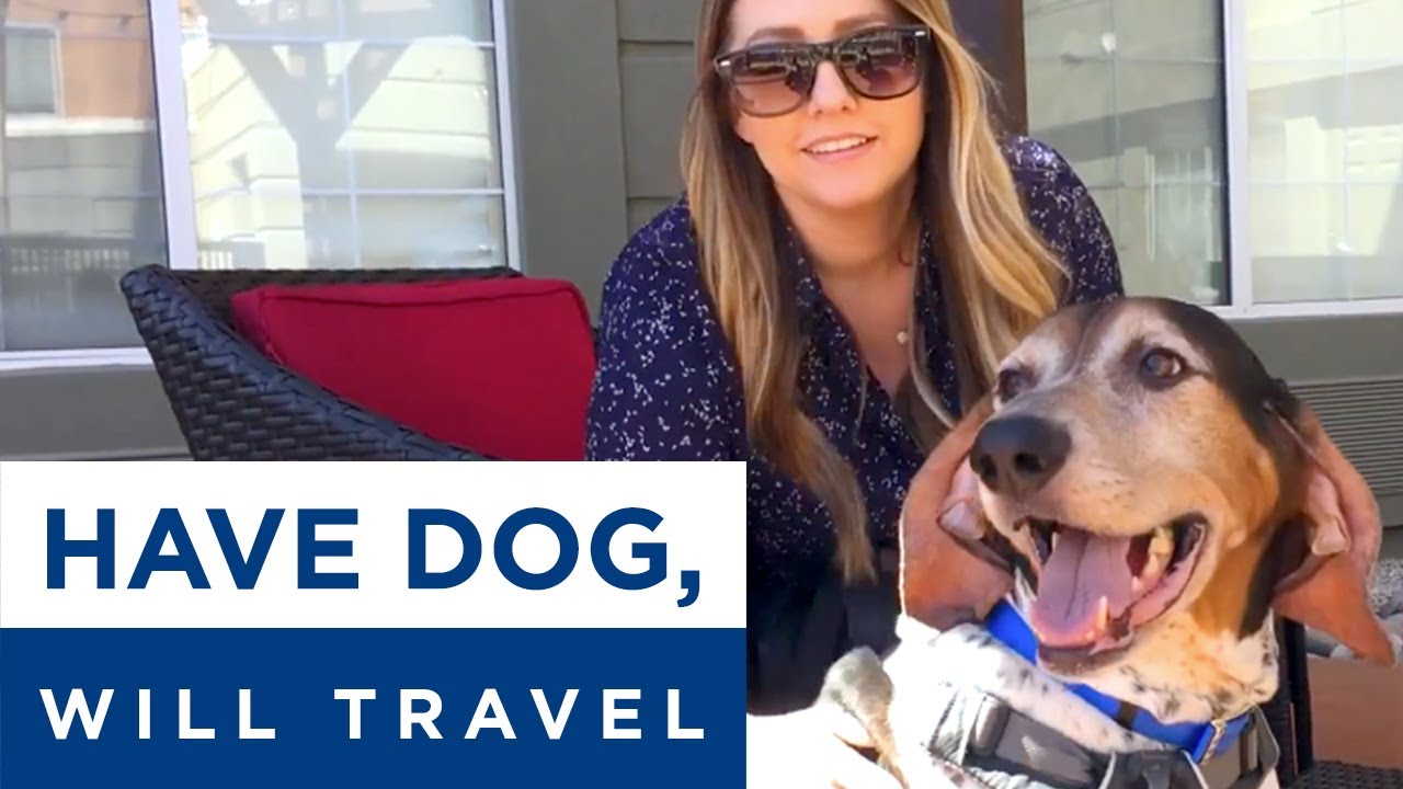 Pet Friendly Travel with Best Western