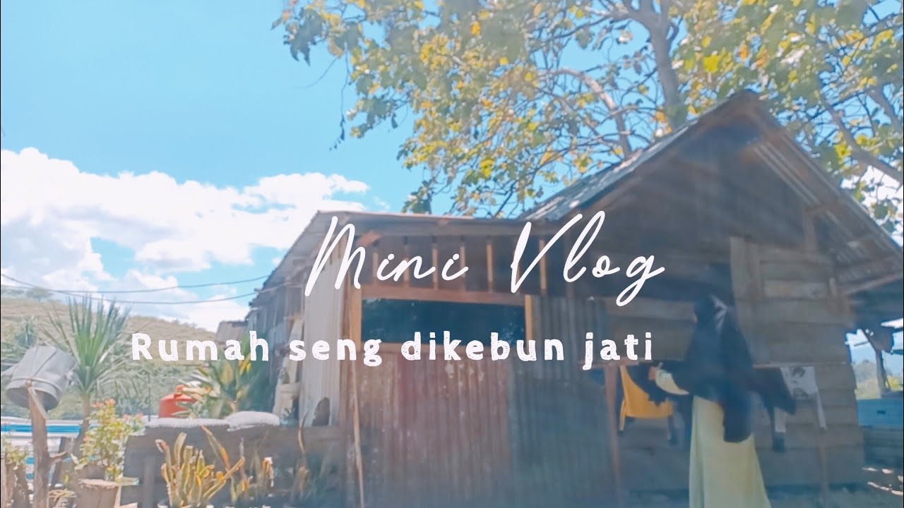 Slow Living IRT Desa | Malam & Siang Hari dirumah Seng Sederhana, menata dapur & masak simpel #irt