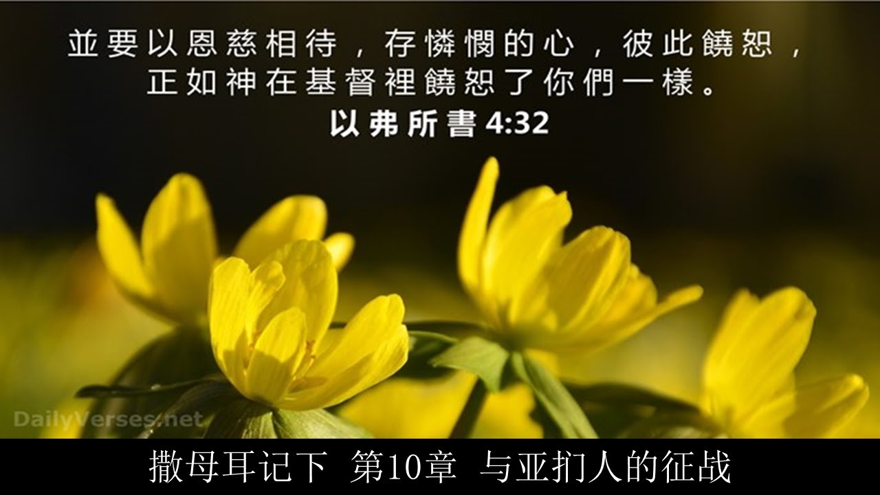 撒母耳记下 第10章 与亚扪人的征战