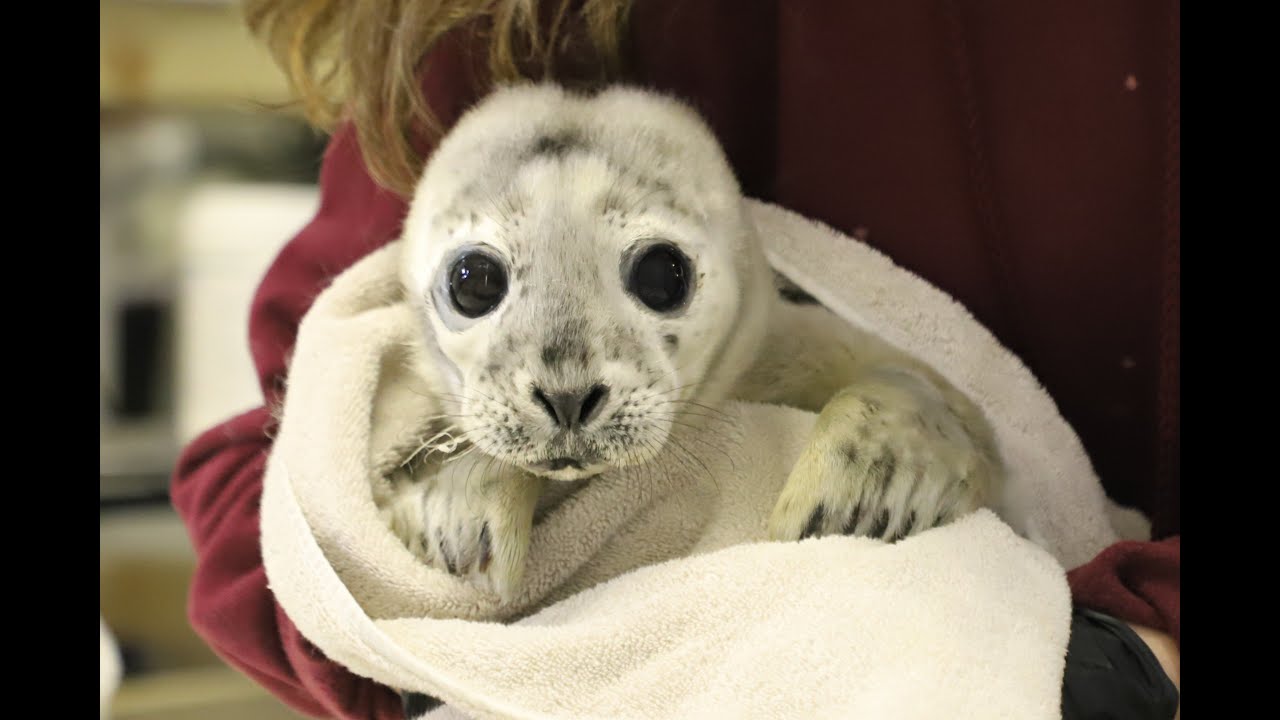 MMoME Defender Service Award Finalist Video