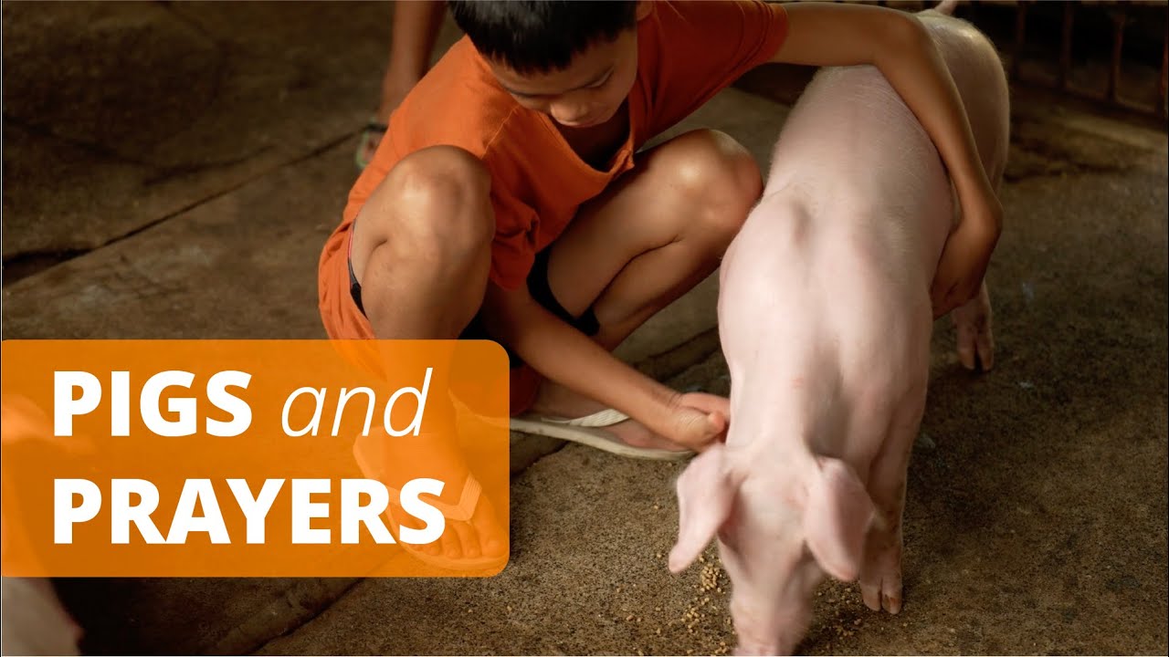 Two families across the world are connected through prayer and the gift of pigs.