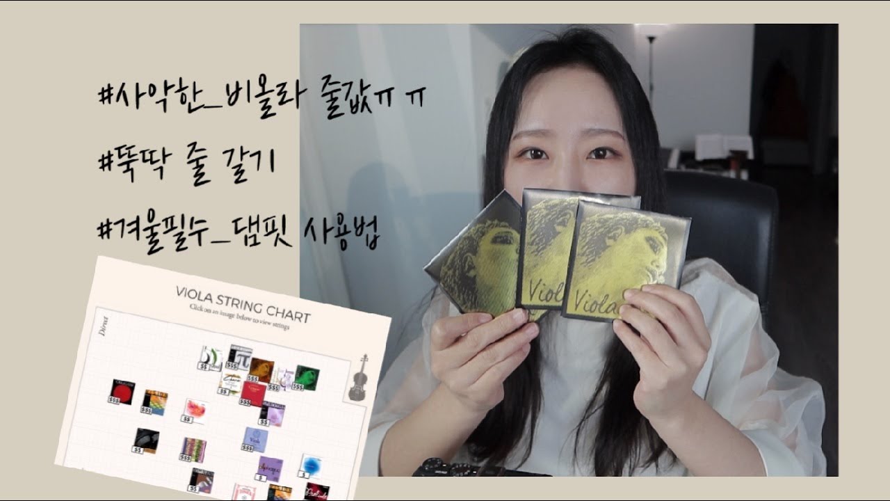 비올라 줄 추천/비올라 줄 가는 방법/댐핏 사용법