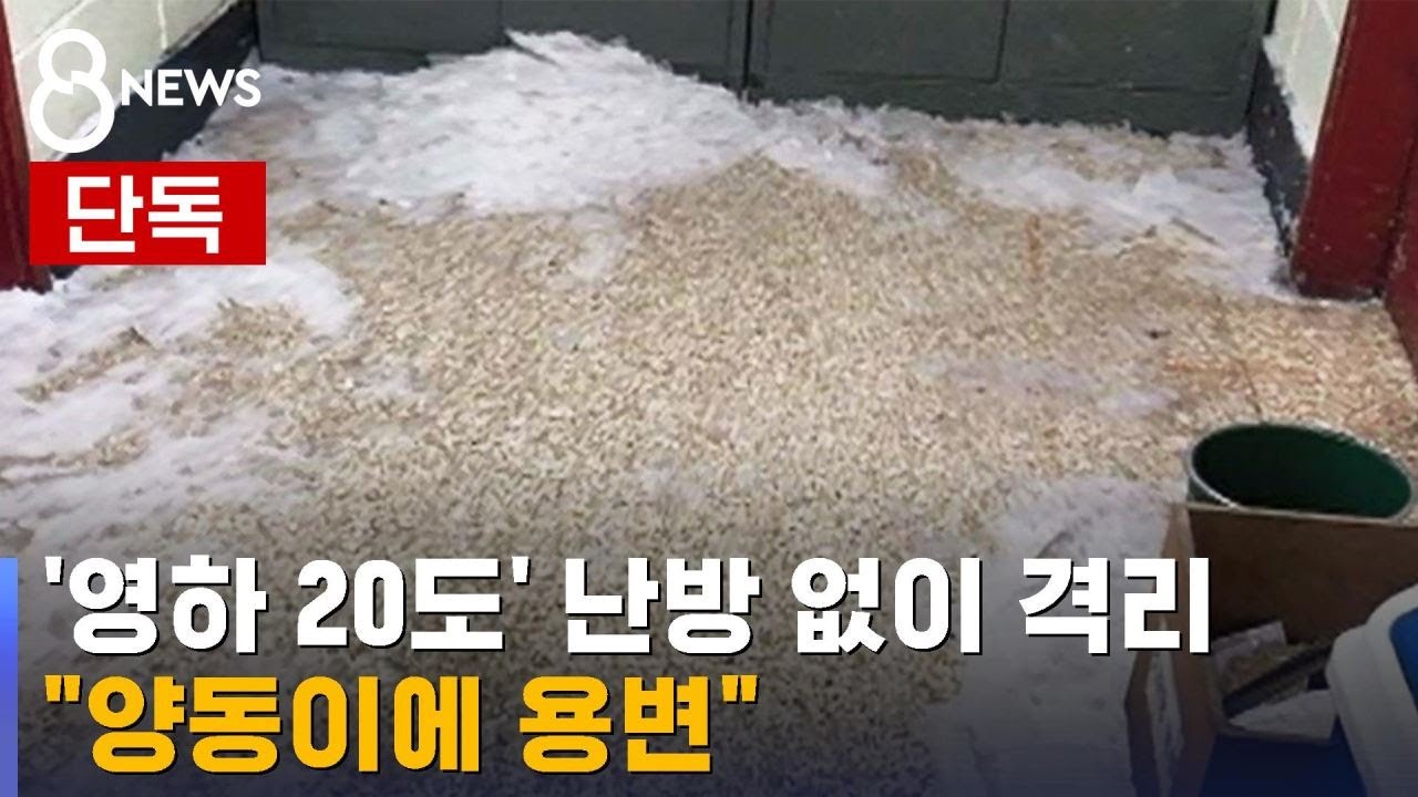 [단독] '영하 20도' 난방 없이 격리…