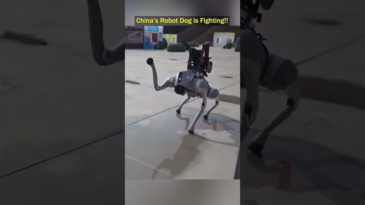 China Deploys Armed Robot Dogs in Urban Combat Drills!