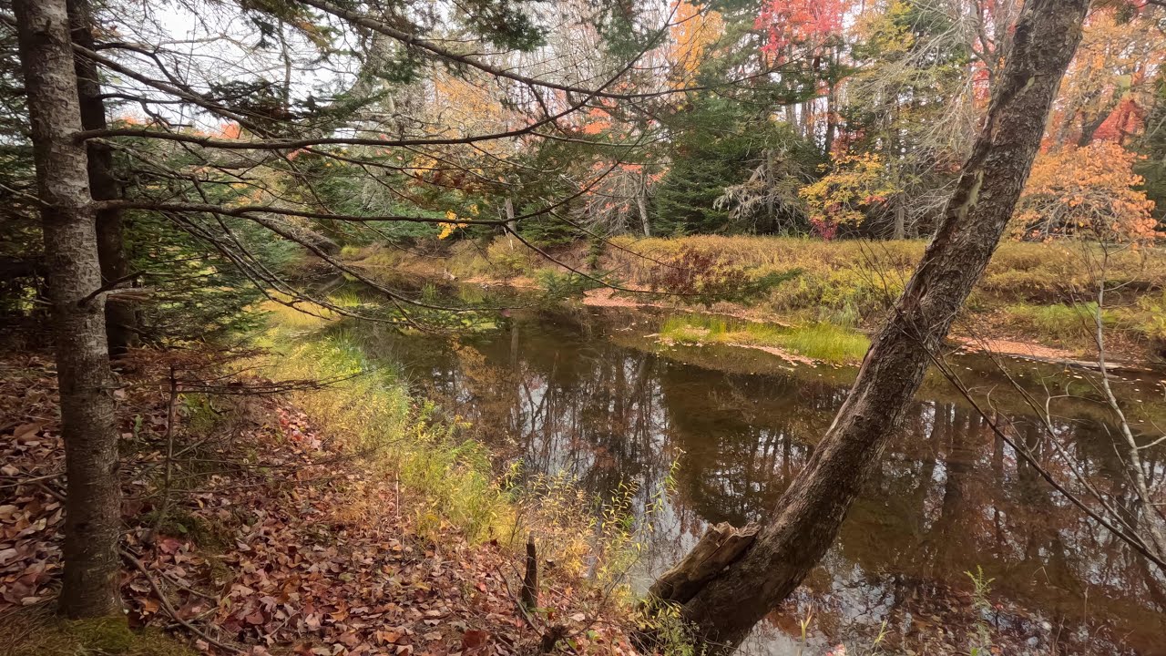 Halifax to Nine Mile River Trail Road trip