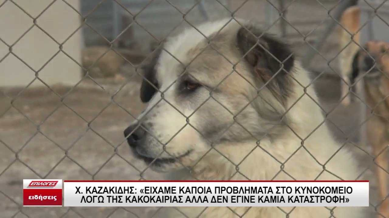 Χρ.Καζακίδης: 
