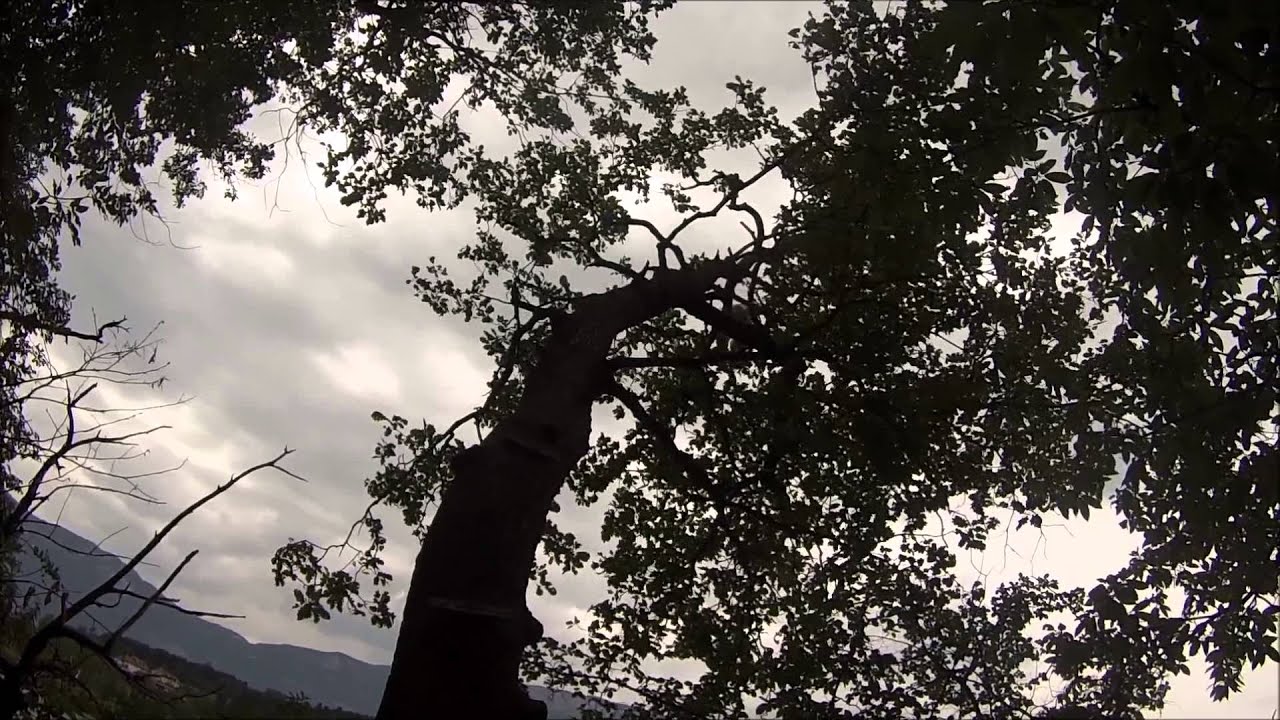 Montiggl unter uns 2013