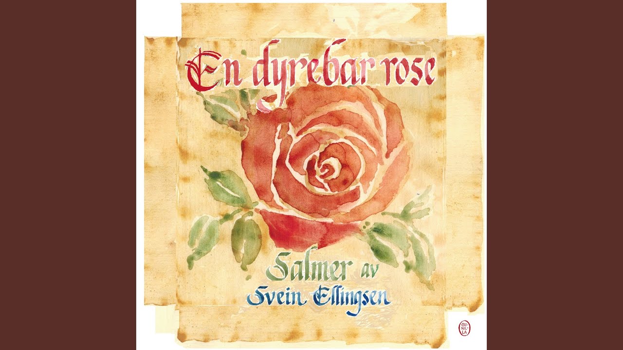 Vi rekker våre hender frem