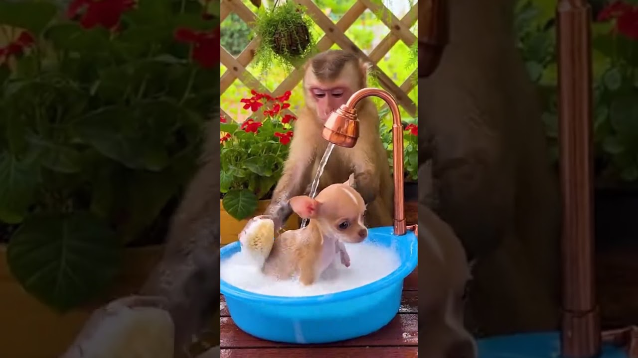 DANDOLE UN BA&Ntilde;ITO A TOBIAS🤣🤯