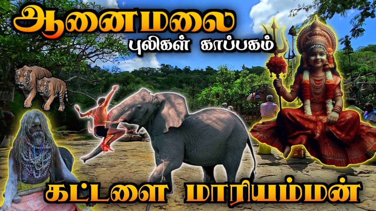 😱 கட்டளை மாரியம்மன் / Kattalai Mariyamman Kovil 🔥 கோடந்தூர் கட்டளை மாரியம்மன் #mariyamman #anamalai